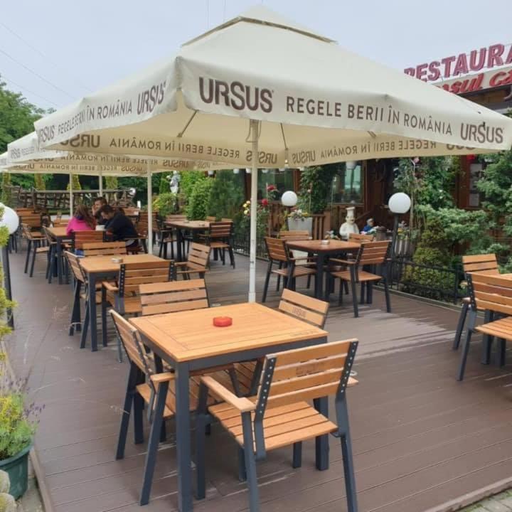 Pensiunea Carul cu flori Oravita Exterior foto