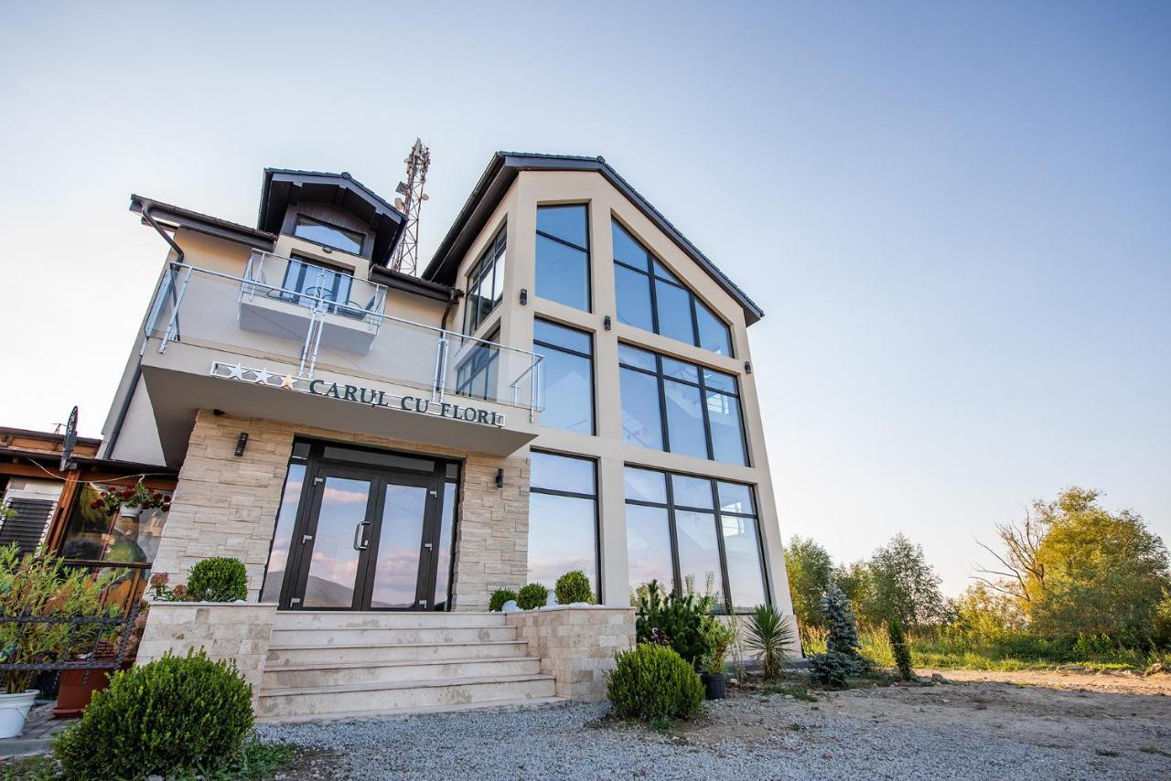 Pensiunea Carul cu flori Oravita Exterior foto